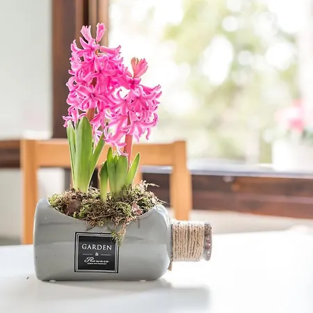 Ippotur Medieval פארק נופש קסטלנואובו מגרה