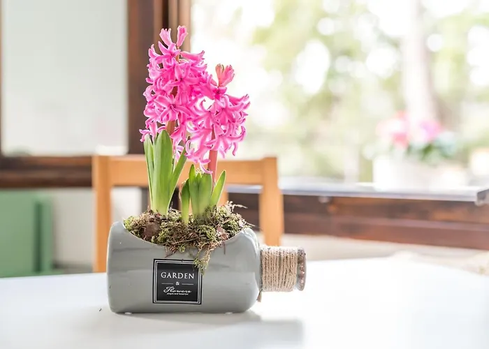 Ippotur Medieval Prázdninový areál Castelnuovo Magra